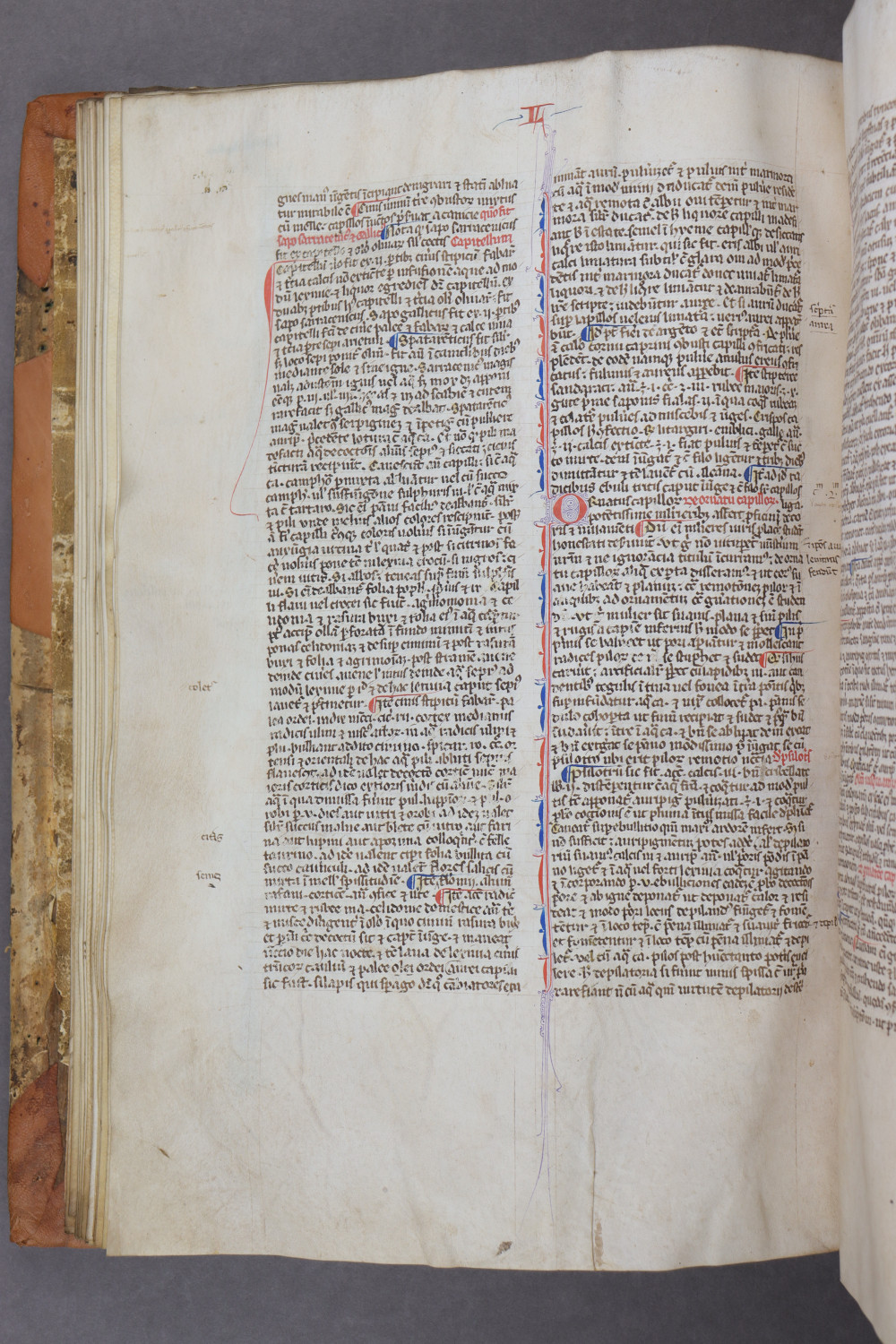 Folio 33 verso